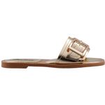 SHAKIRA-1079-MOCTEZUMA-ORO-23-26-comma-23.0