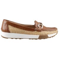 Zapato Casual Nomadas 23515 Sint