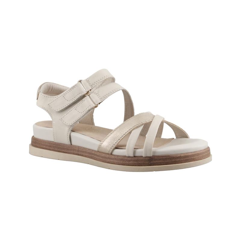FLEXI-135301-FLOR-ENTERA-BCO-22--comma-22.5