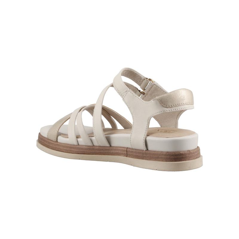 FLEXI-135301-FLOR-ENTERA-BCO-22--comma-22.5