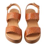 UMMA-235-VAQUETILLA-NUEZ-22-26-comma-22-0
