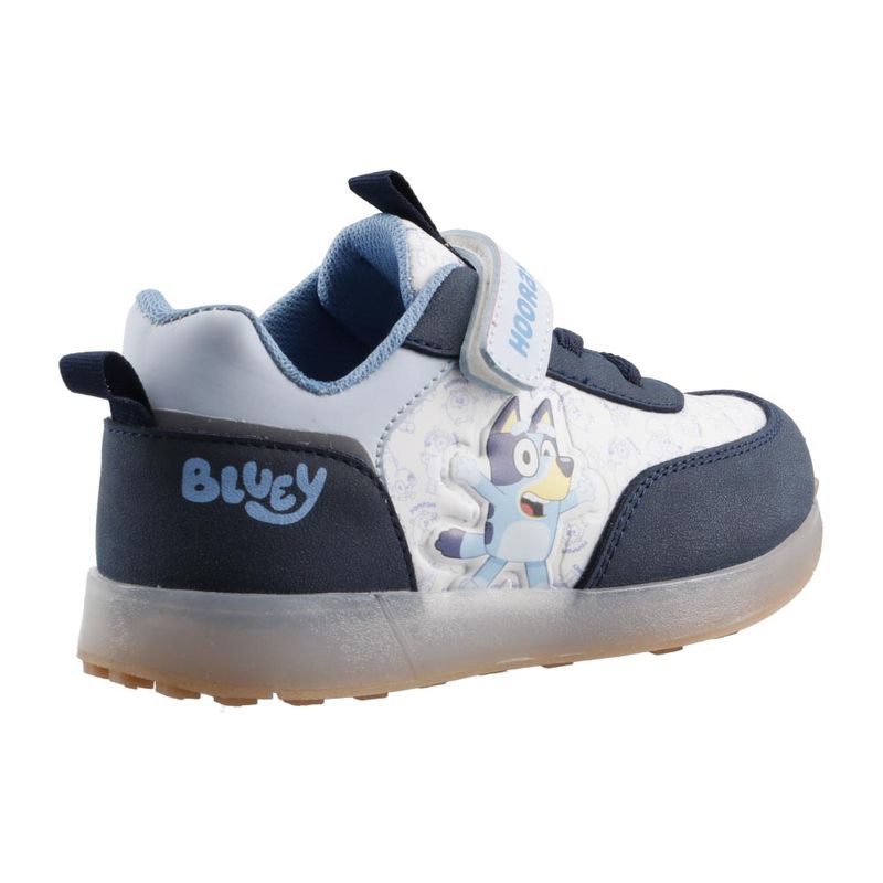 BLUEY-BL291541-BUCK-BCO-15-17-5-comma-16-0