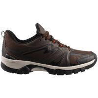 Zapato Casual Bose 730 Malla Gre