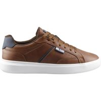 Tenis Hombre Mr Shu 242 Café