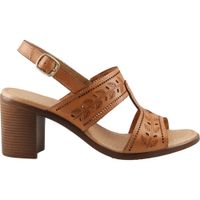 Sandalia Mujer Umma 3043 Café